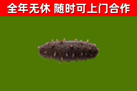 江海区烟酒回收干海参.jpg